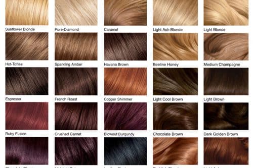 Hair color chart
